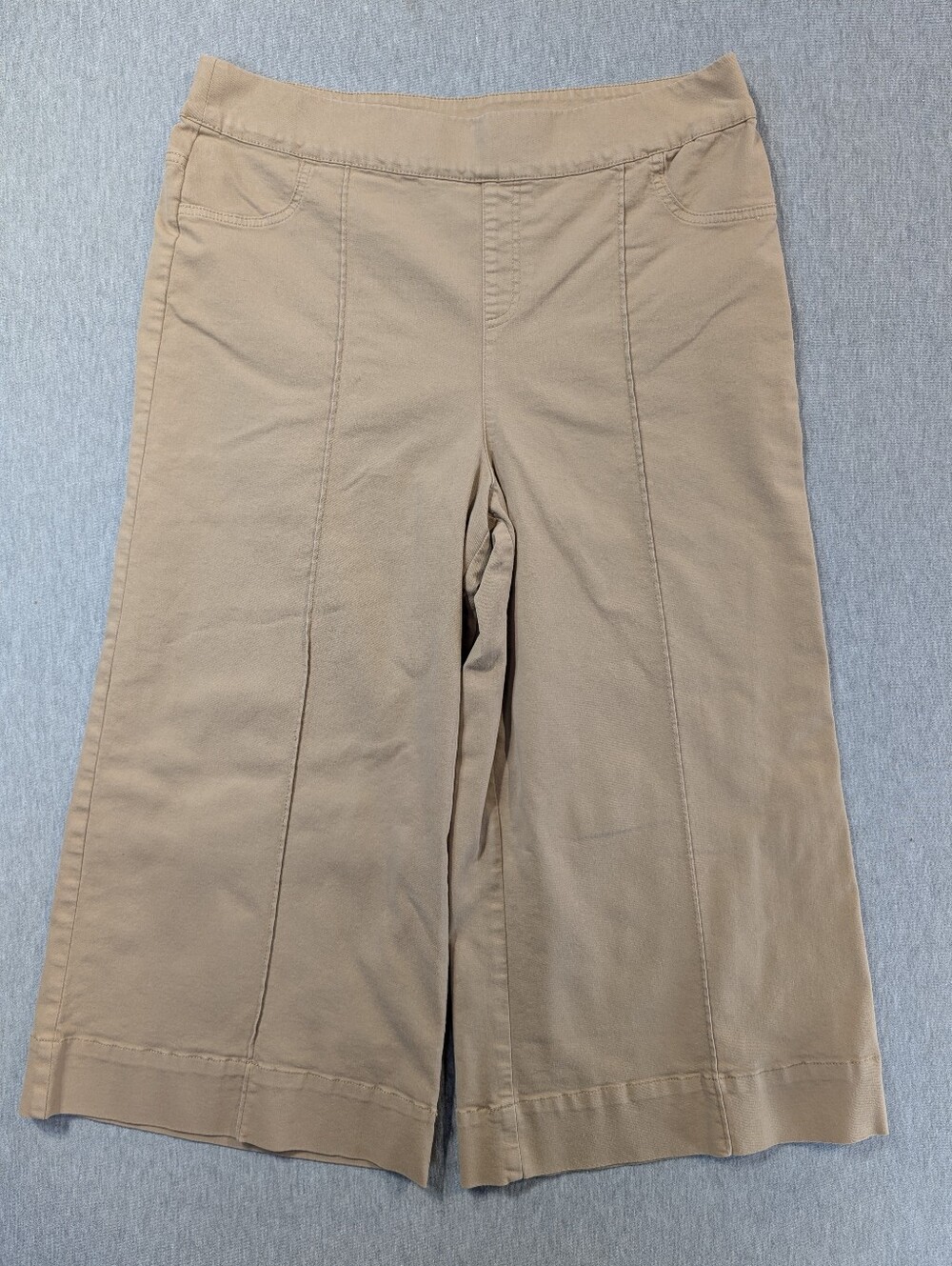 Nina Leonard Wide Leg Cropped Pants Women's XL Tan